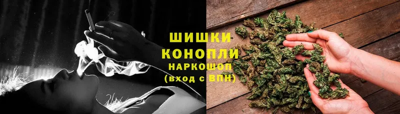 где купить наркоту  Туринск  Бошки марихуана Bruce Banner 